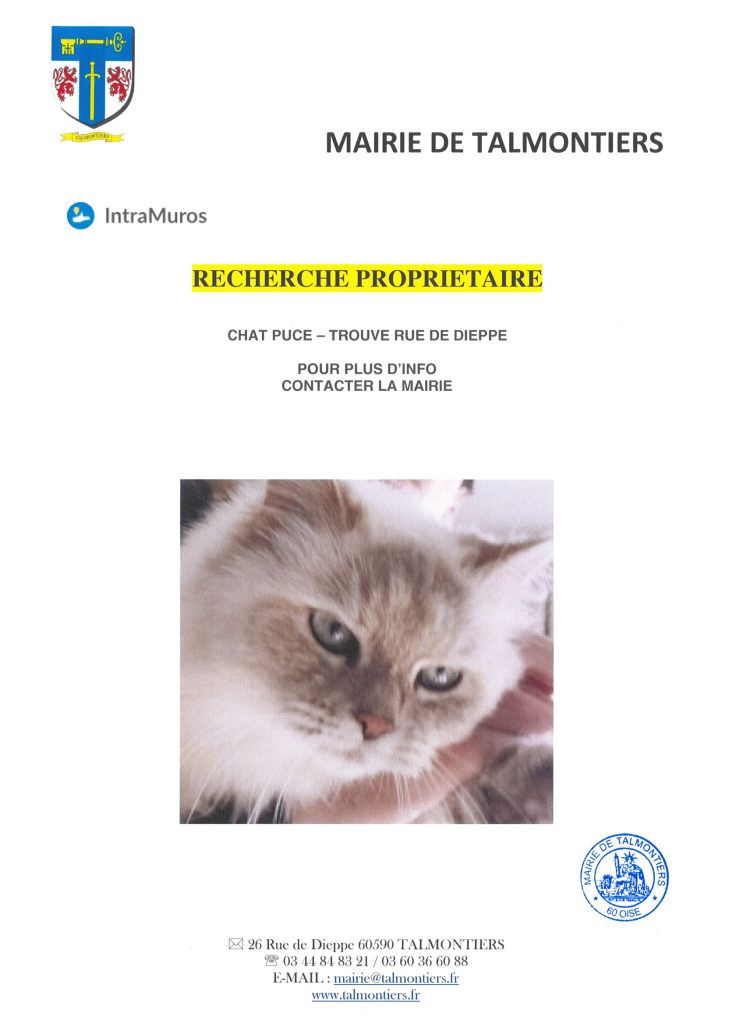 chat vu rue de dieppe à Talmontiers recherche son propriétaire 
Pour plus d'info contacter la mairie 